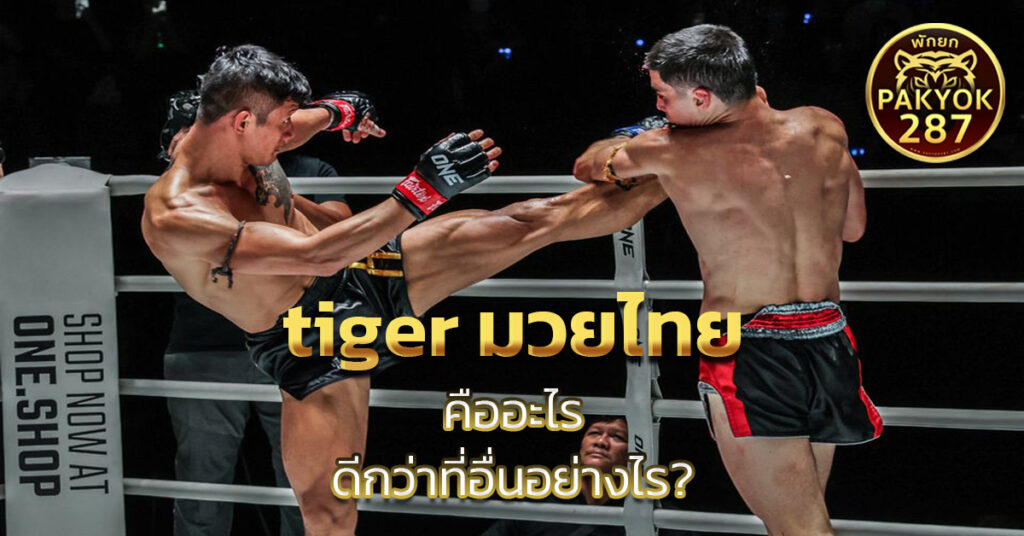 tiger มวยไทย