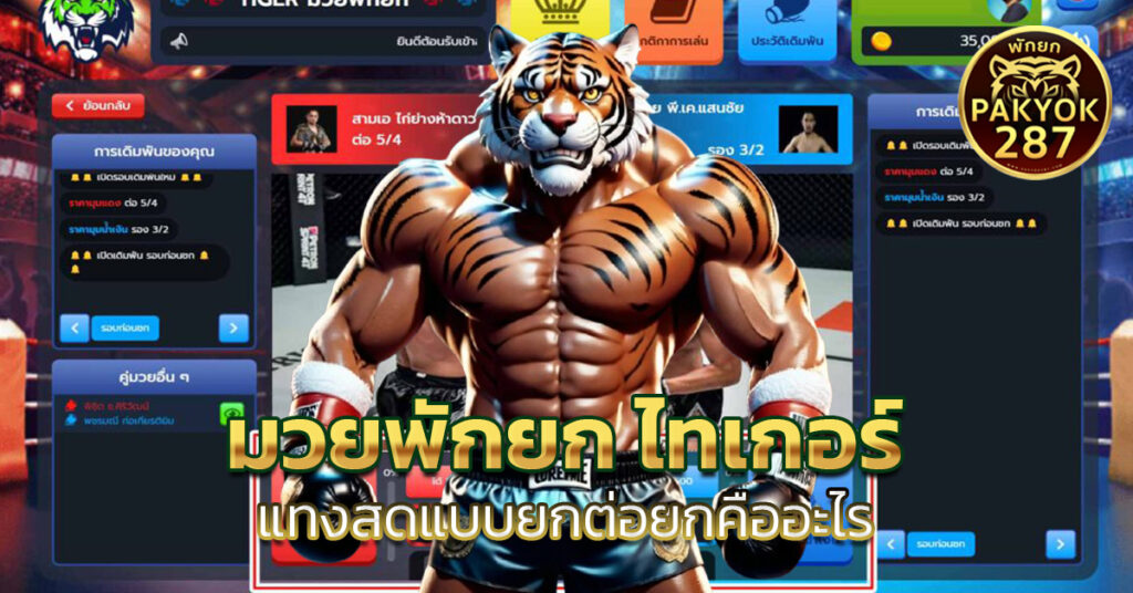 มวยพักยก ไทเกอร์