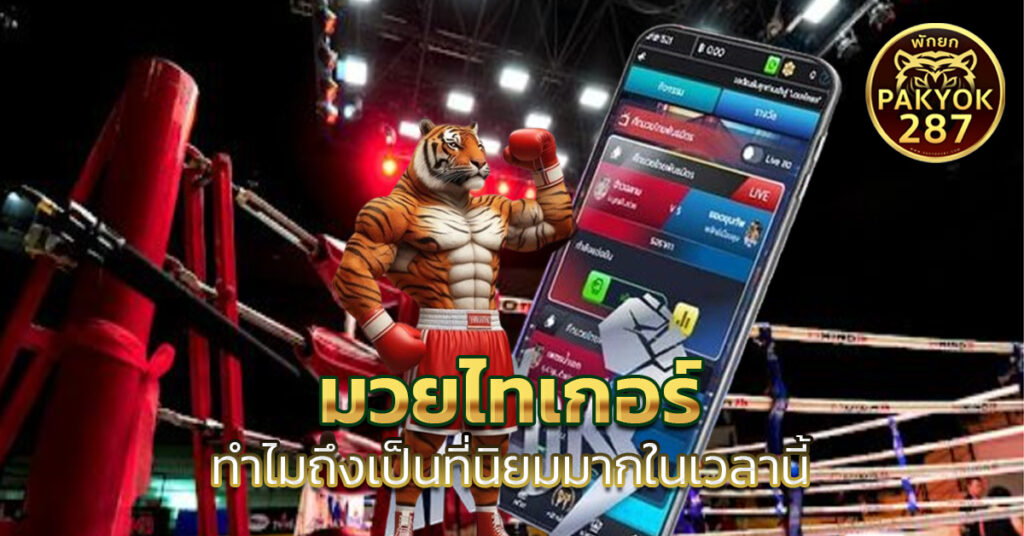 มวยไทเกอร์