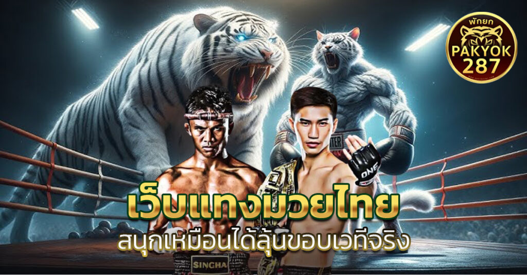 เว็บแทงมวยไทย